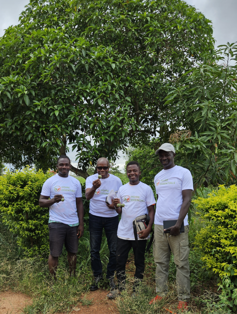 Voacanga fields with our Excellence growers