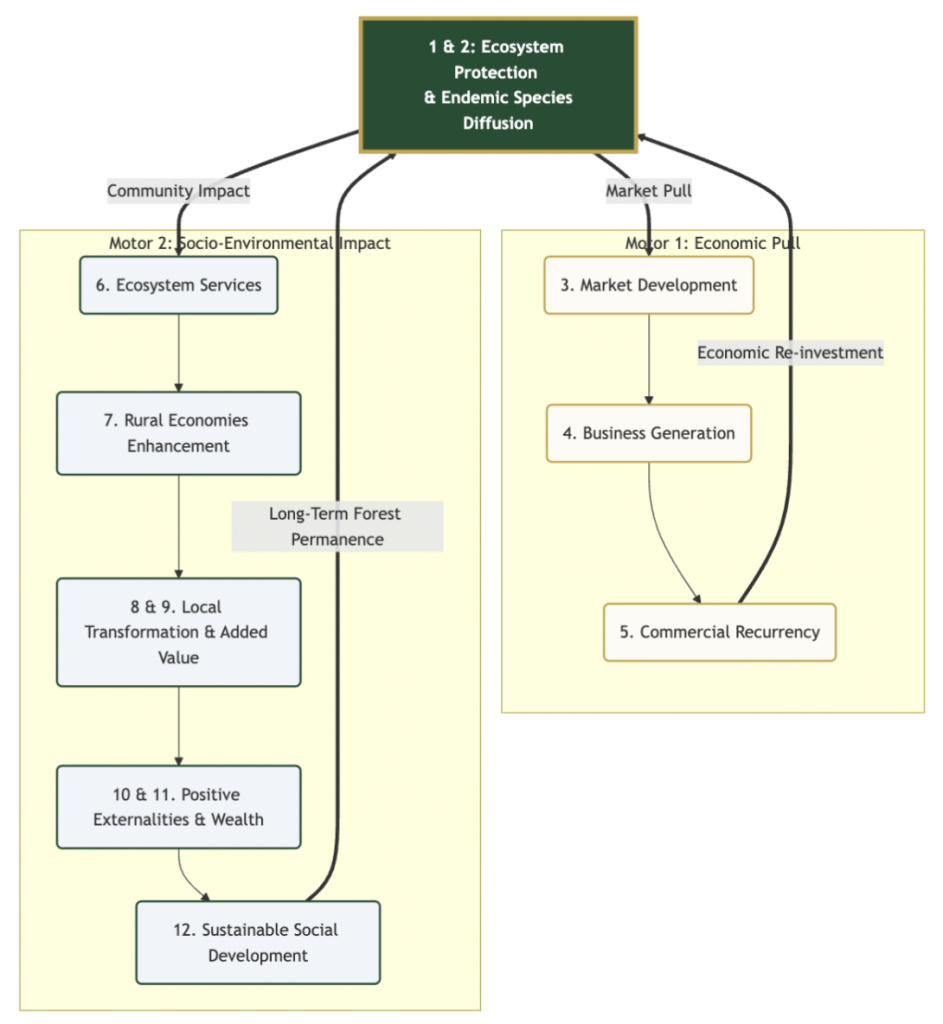 Sustainable sourcing africa: ecosystem services from Ivoire Essentials
