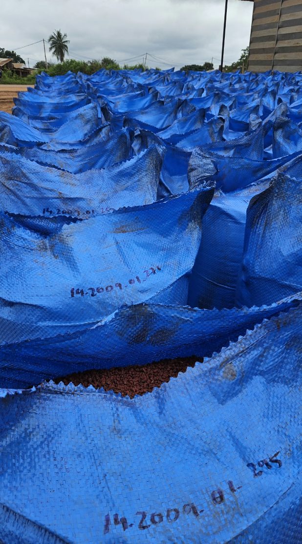 Annatto seed bags marked with batch traceability codes before export