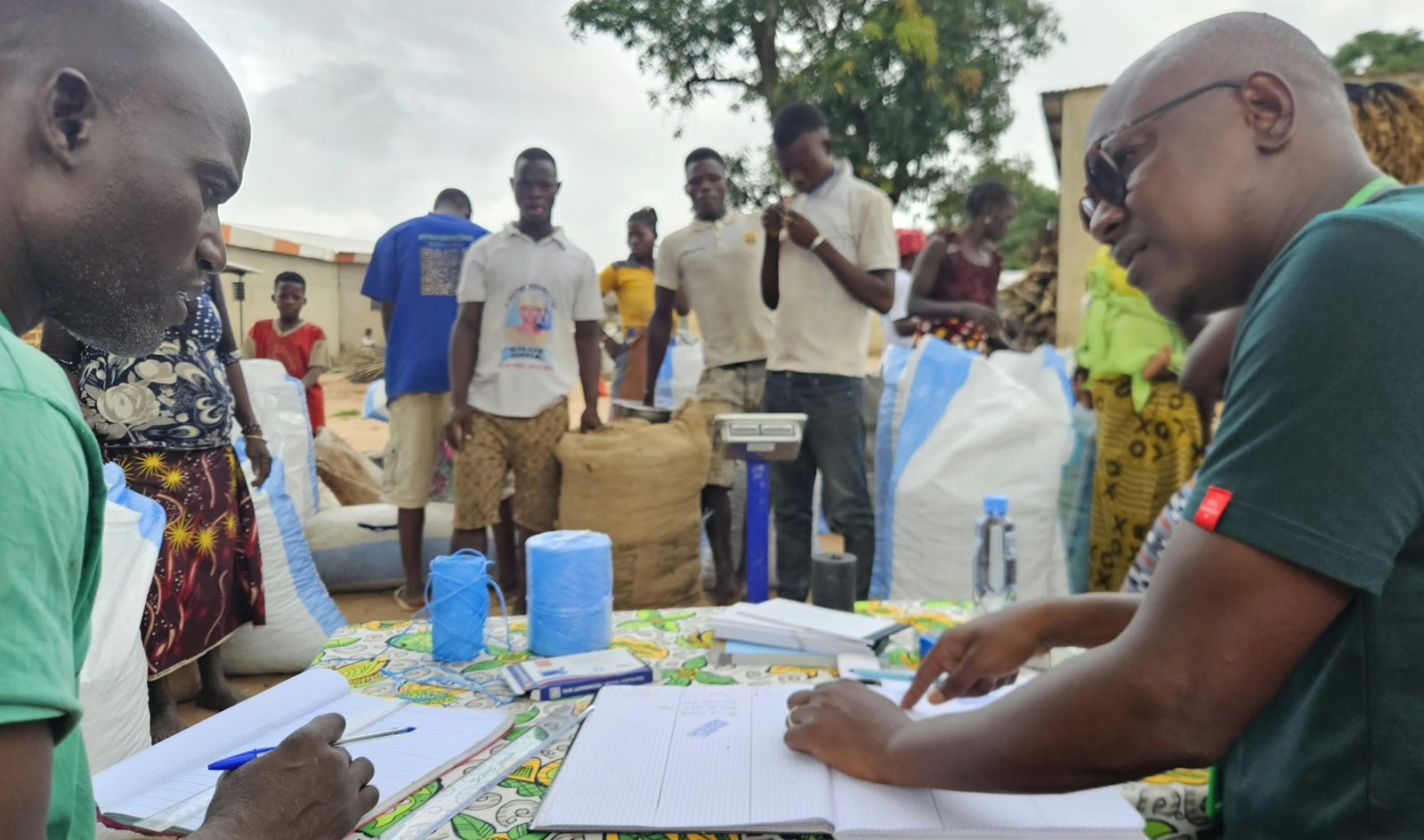 Ivoire Essentials team recording purchases from growers at a village collection point in Côte d’Ivoire